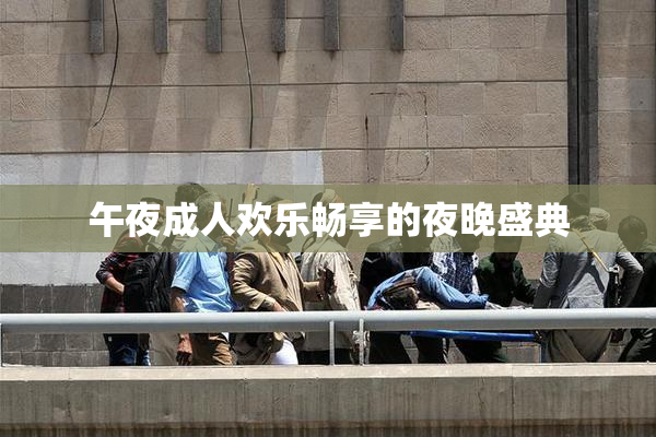 午夜成人欢乐畅享的夜晚盛典