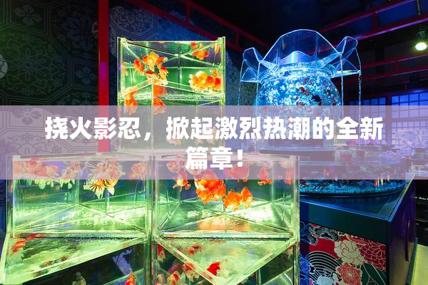 挠火影忍，掀起激烈热潮的全新篇章！