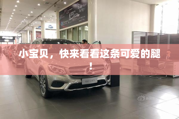 小宝贝，快来看看这条可爱的腿！