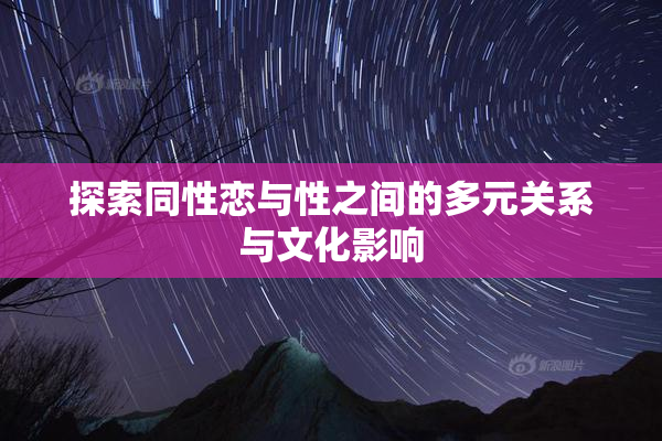 探索同性恋与性之间的多元关系与文化影响