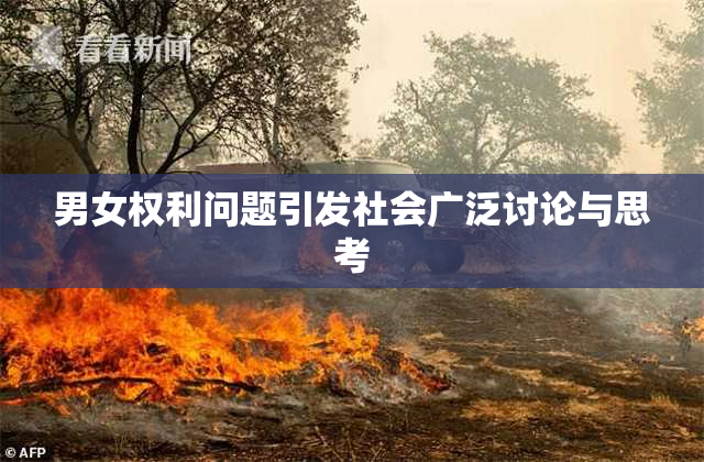 男女权利问题引发社会广泛讨论与思考