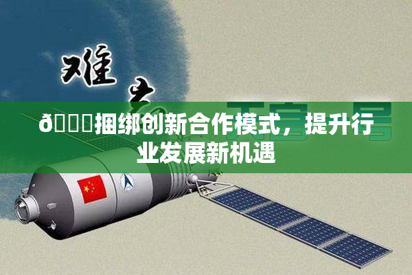 🔞捆绑创新合作模式，提升行业发展新机遇