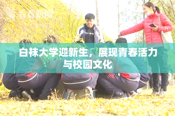 白袜大学迎新生，展现青春活力与校园文化
