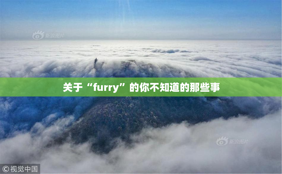 关于“furry”的你不知道的那些事