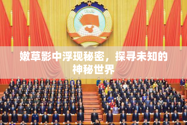 嫩草影中浮现秘密，探寻未知的神秘世界