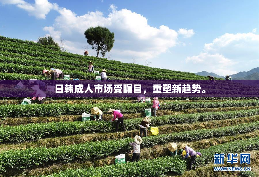 日韩成人市场受瞩目，重塑新趋势。