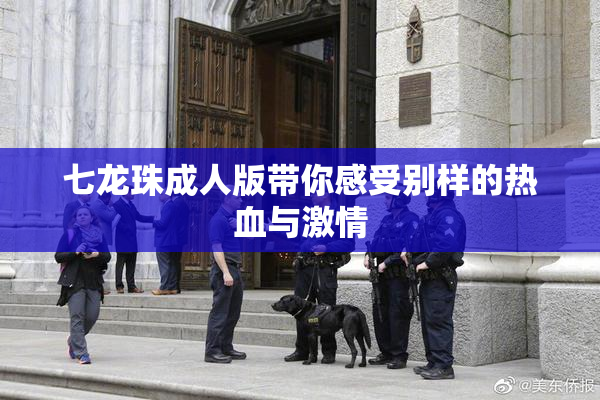 七龙珠成人版带你感受别样的热血与激情