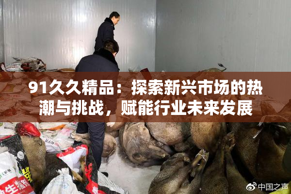 91久久精品：探索新兴市场的热潮与挑战，赋能行业未来发展