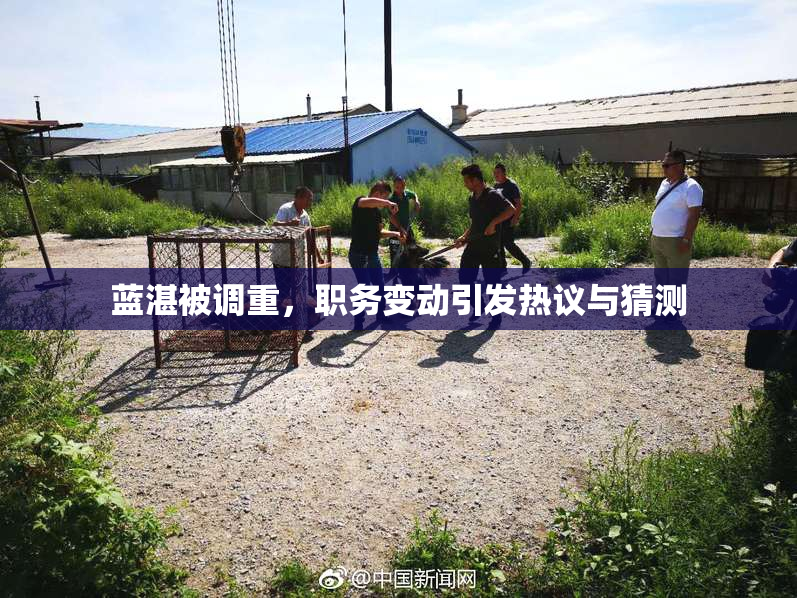 蓝湛被调重，职务变动引发热议与猜测