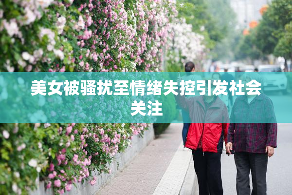 美女被骚扰至情绪失控引发社会关注