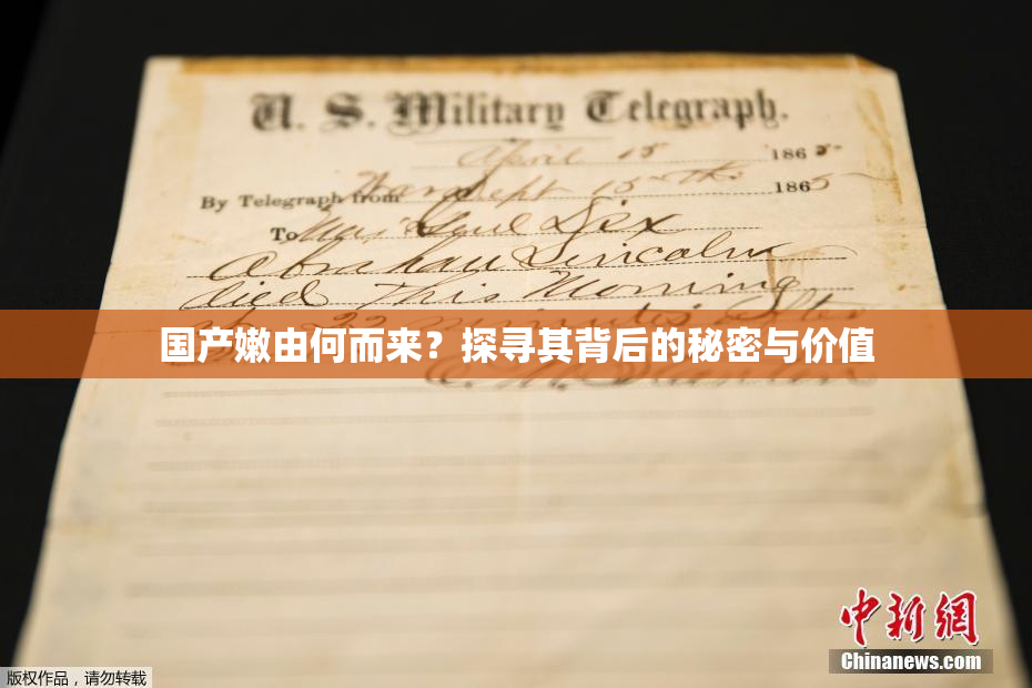 国产嫩由何而来？探寻其背后的秘密与价值