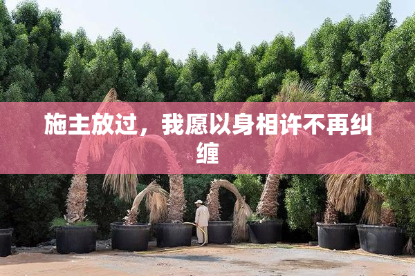施主放过，我愿以身相许不再纠缠