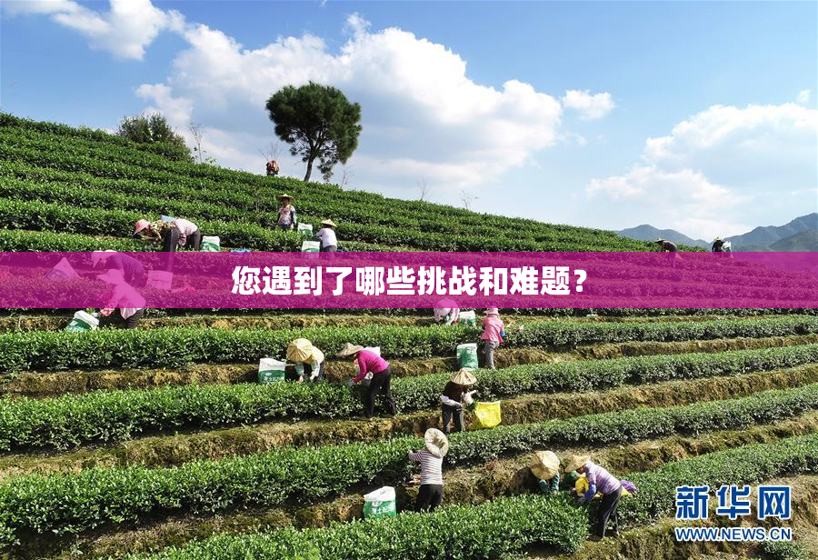 您遇到了哪些挑战和难题？