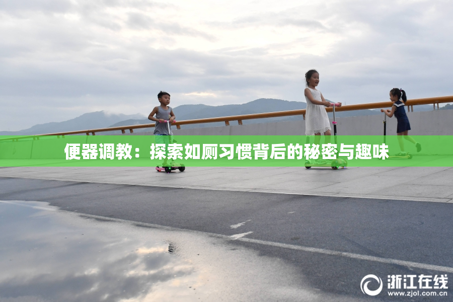 便器调教：探索如厕习惯背后的秘密与趣味
