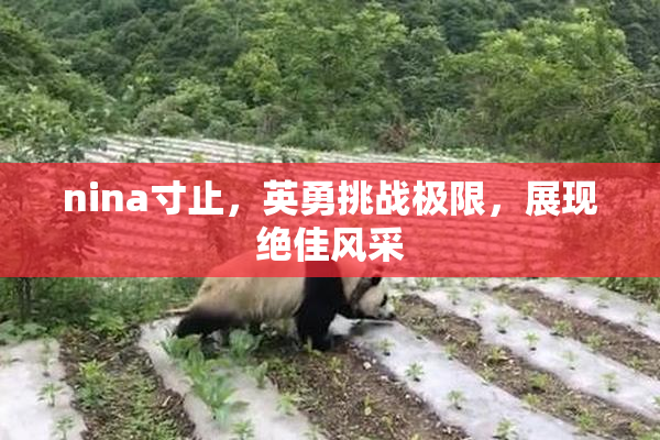 nina寸止，英勇挑战极限，展现绝佳风采