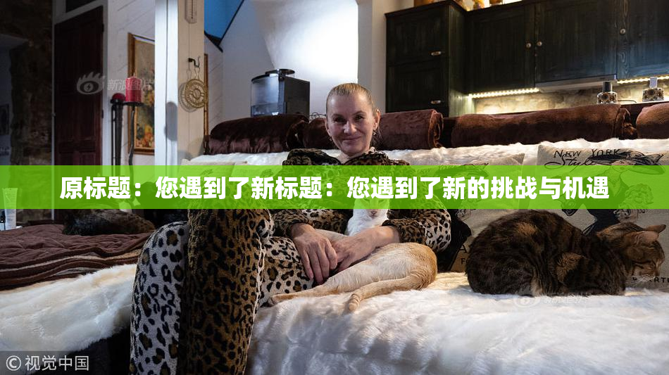 原标题：您遇到了新标题：您遇到了新的挑战与机遇