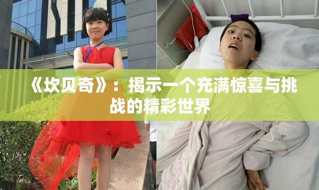 《坎贝奇》：揭示一个充满惊喜与挑战的精彩世界