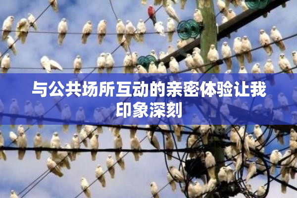 与公共场所互动的亲密体验让我印象深刻