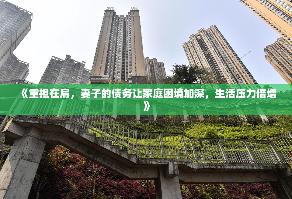 《重担在肩，妻子的债务让家庭困境加深，生活压力倍增》