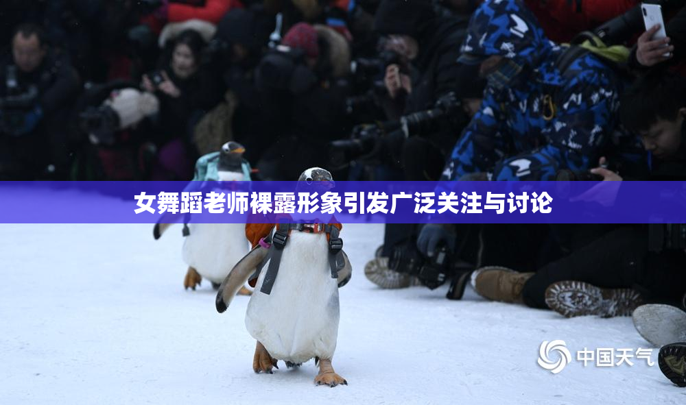 女舞蹈老师裸露形象引发广泛关注与讨论