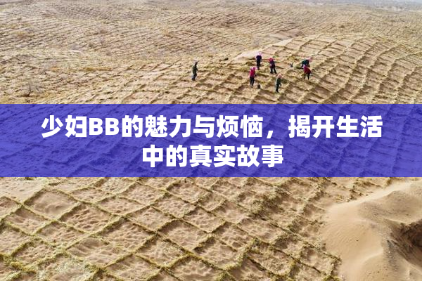 少妇BB的魅力与烦恼，揭开生活中的真实故事