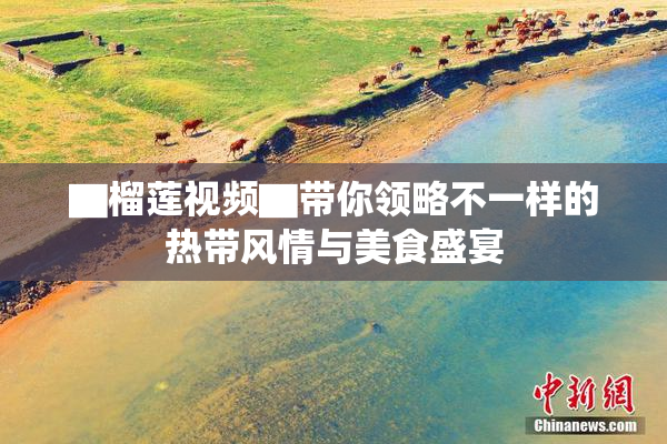 ▇榴莲视频▇带你领略不一样的热带风情与美食盛宴