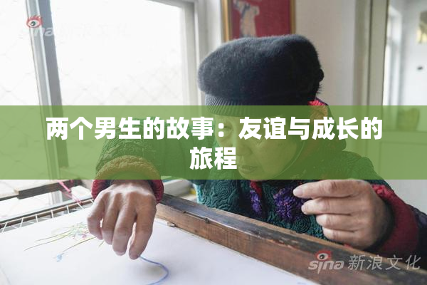 两个男生的故事：友谊与成长的旅程