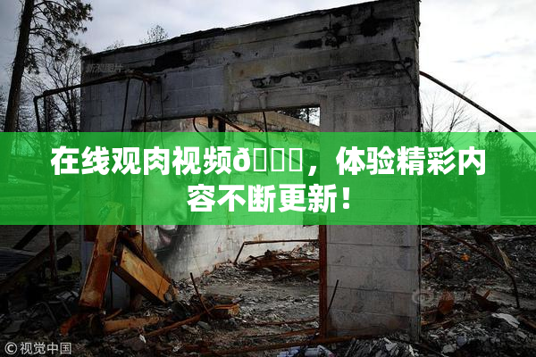 在线观肉视频🔞，体验精彩内容不断更新！