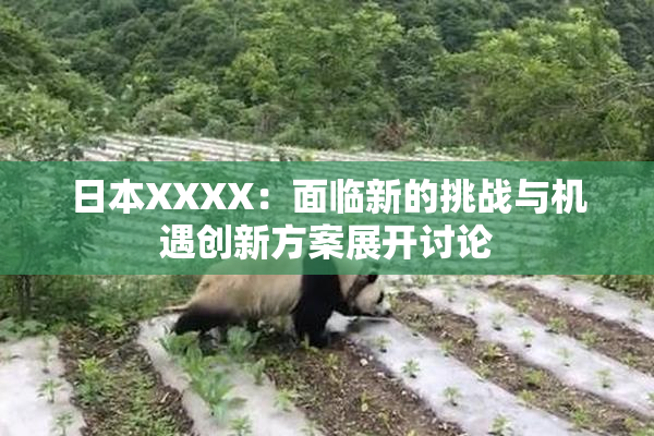 日本XXXX：面临新的挑战与机遇创新方案展开讨论