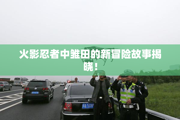 火影忍者中雏田的新冒险故事揭晓！