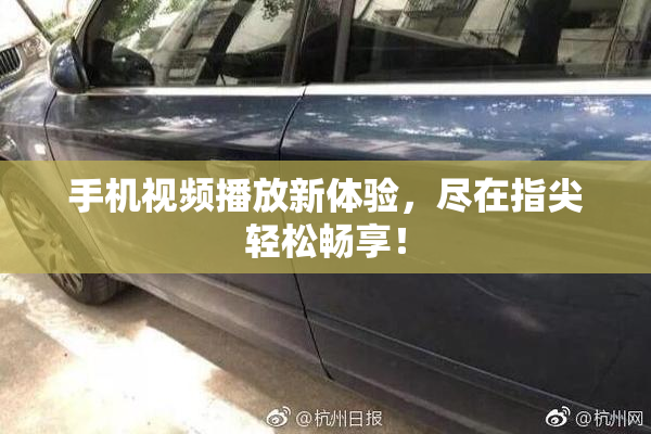 手机视频播放新体验，尽在指尖轻松畅享！
