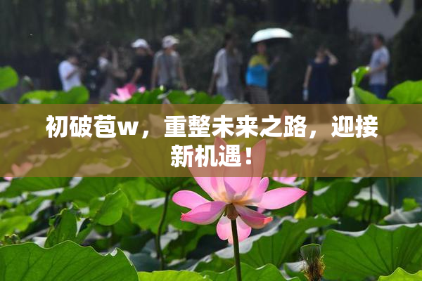 初破苞w，重整未来之路，迎接新机遇！