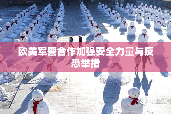 欧美军警合作加强安全力量与反恐举措
