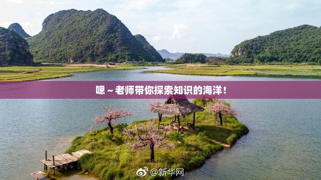 嗯～老师带你探索知识的海洋！