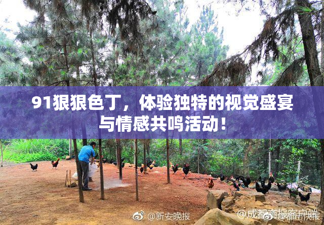 91狠狠色丁，体验独特的视觉盛宴与情感共鸣活动！