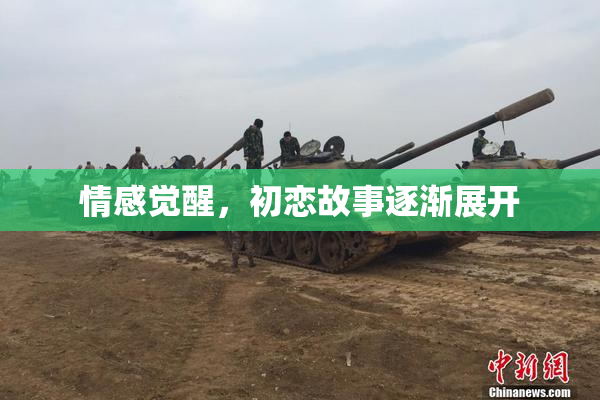 情感觉醒，初恋故事逐渐展开