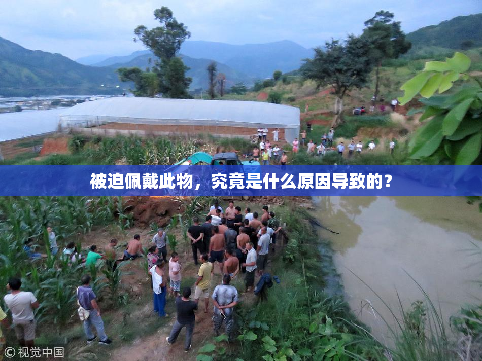 被迫佩戴此物，究竟是什么原因导致的？
