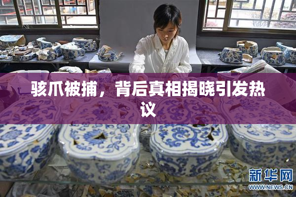 骇爪被捕，背后真相揭晓引发热议