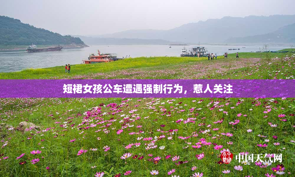 短裙女孩公车遭遇强制行为，惹人关注