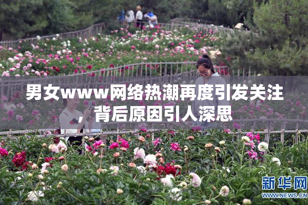 男女www网络热潮再度引发关注，背后原因引人深思