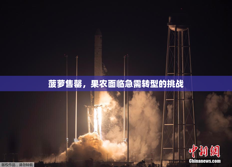菠萝售罄，果农面临急需转型的挑战