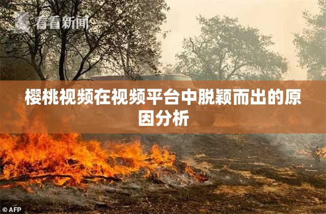 樱桃视频在视频平台中脱颖而出的原因分析