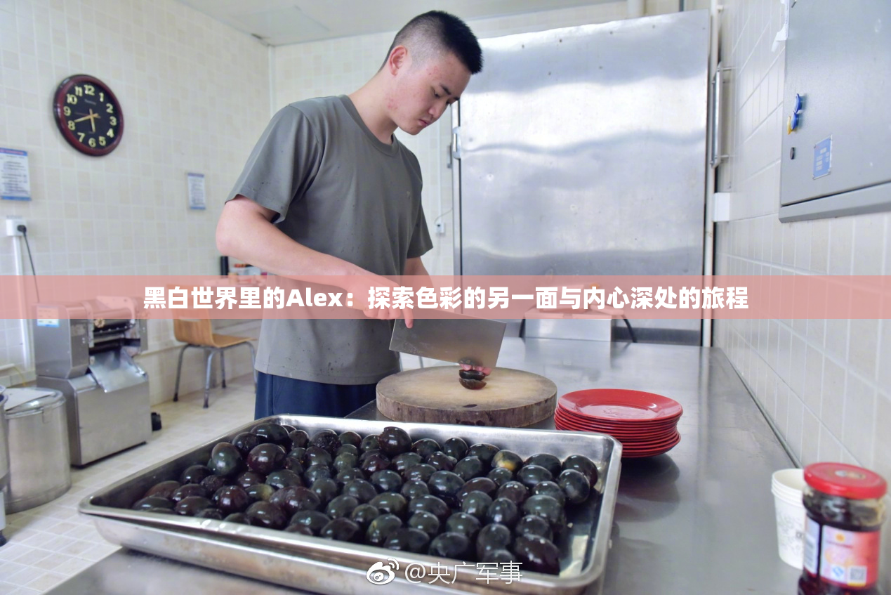 黑白世界里的Alex：探索色彩的另一面与内心深处的旅程