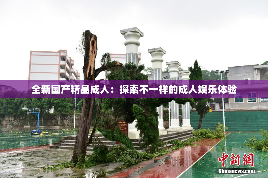 全新国产精品成人：探索不一样的成人娱乐体验