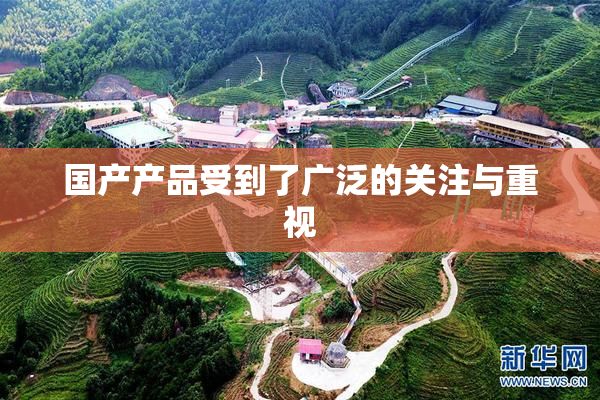 国产产品受到了广泛的关注与重视