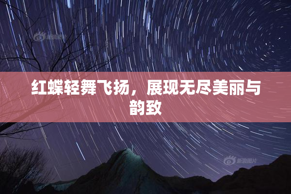 红蝶轻舞飞扬，展现无尽美丽与韵致