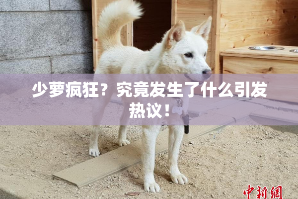 少萝疯狂？究竟发生了什么引发热议！