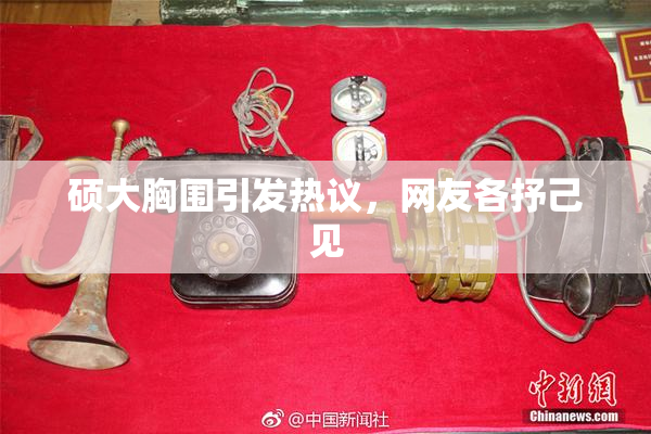 硕大胸围引发热议，网友各抒己见
