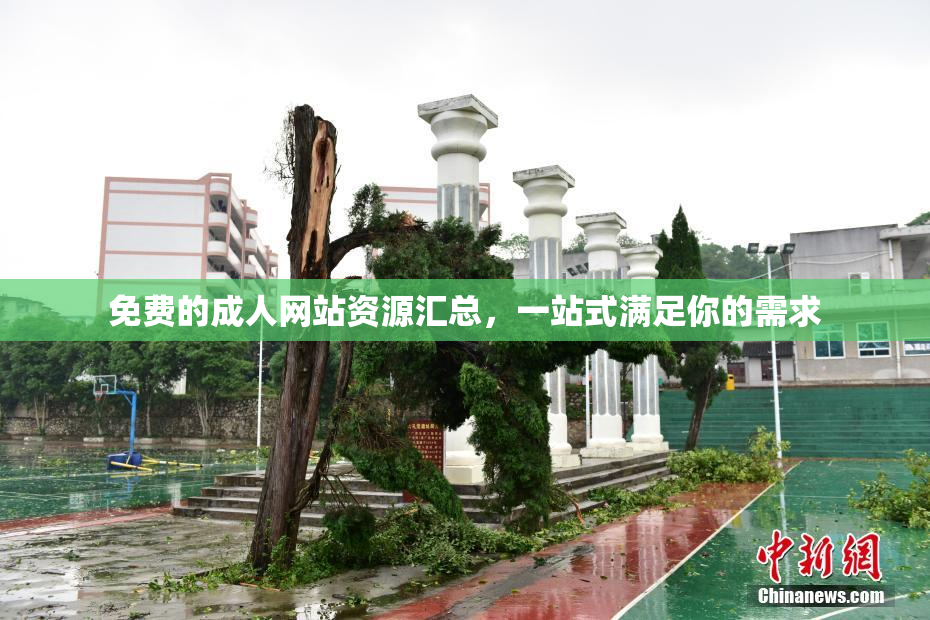 免费的成人网站资源汇总，一站式满足你的需求