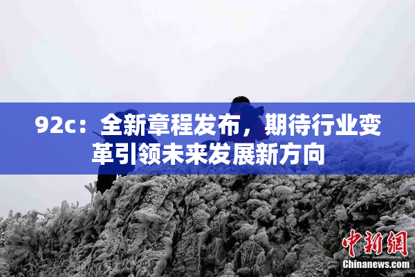 92c：全新章程发布，期待行业变革引领未来发展新方向